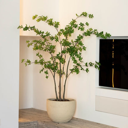 Enkianthus artificial tree 150 cm