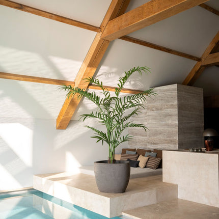 Artificial Palm Plant 240 cm
