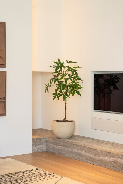Schefflera kunstboom 120 cm