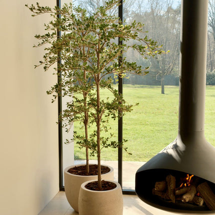 Artificial Black Olive Tree 180 cm