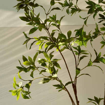 Pieris japonica artificial tree 180 cm