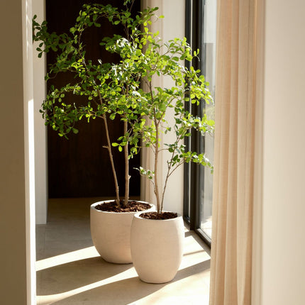 Moringa artificial tree 150 cm