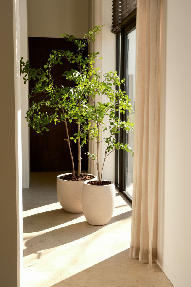 Moringa kunstboom 150 cm