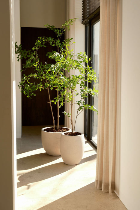 Moringa kunstboom 150 cm