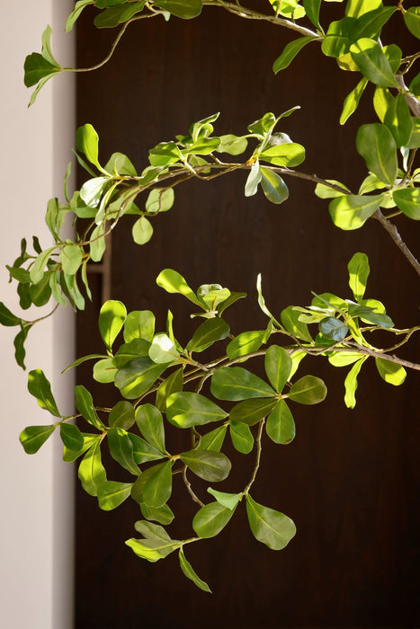 Moringa kunstboom 150 cm