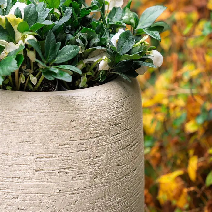 Stonecore Plantenbak MOYA 115 x 80 cm