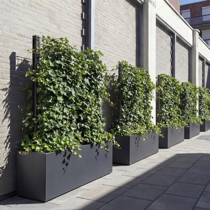 Plantenbak Klimrek Gecoat Staal 200x50x200 cm