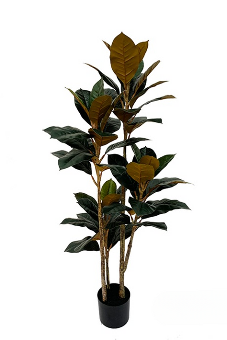 Kunstplant Ficus Elastica met 3 stammen - ↕140cm