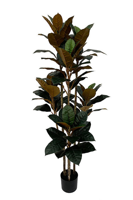 Kunstplant Ficus elastica met 3 stammen - ↕160cm