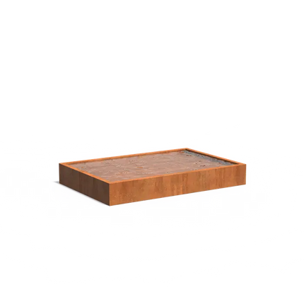 Cortenstaal Vijver 300 x 200 x 40 cm Vijverbak