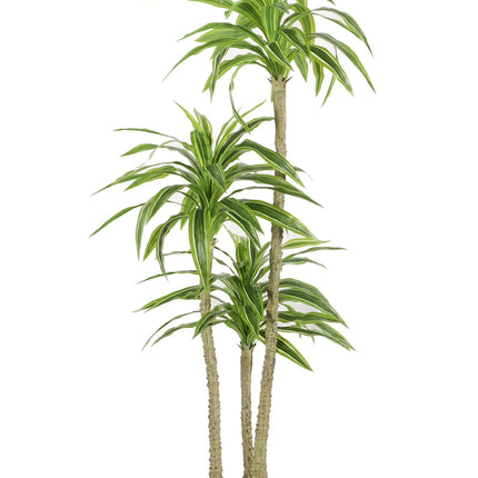 Kunstplant Yucca - ↕170cm