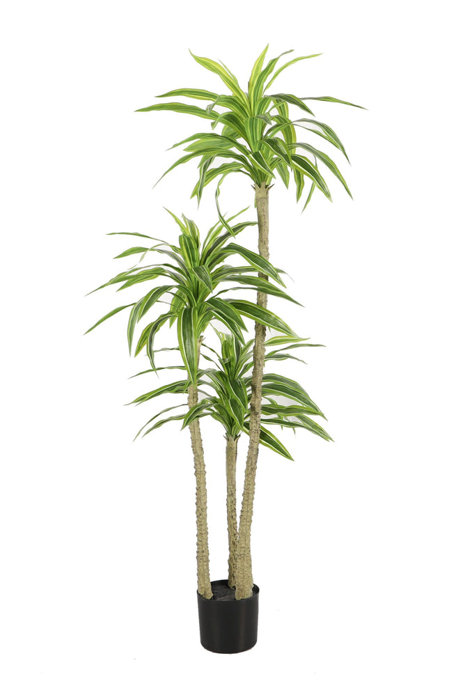 Kunstplant Yucca - ↕170cm