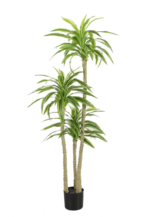 Kunstplant Yucca - ↕170cm