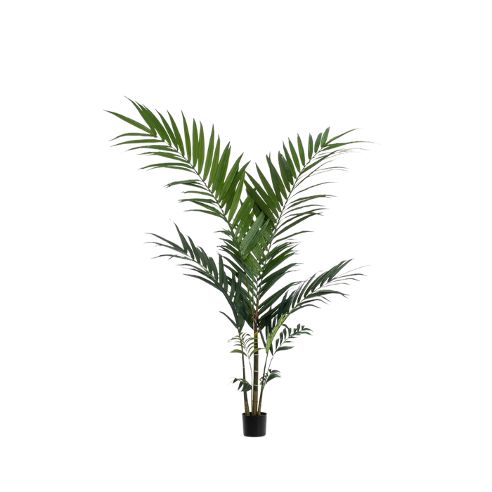 Planta artificial de palmera Kentia - ↕150cm - Ø12cm