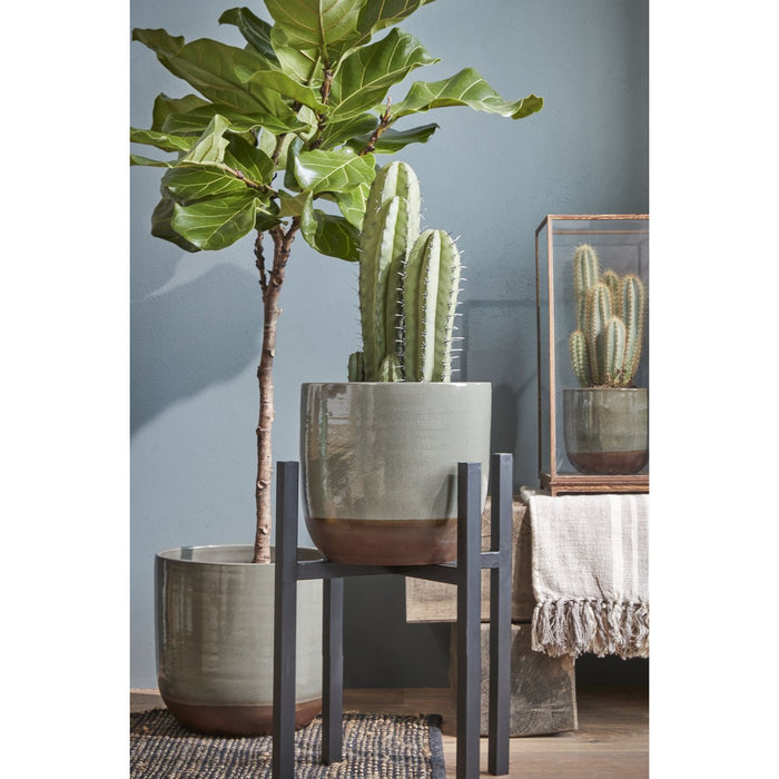 Plantenstandaard XL - L42 x B42 x H50 cm - Metaal - Zwart