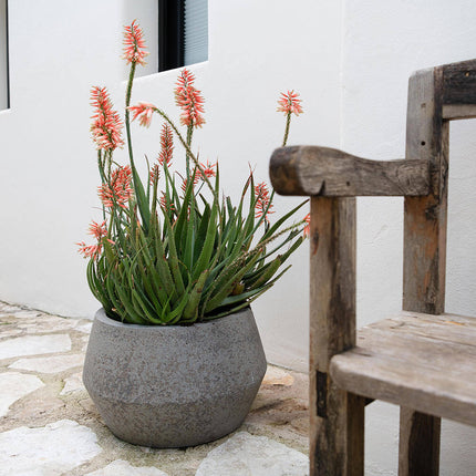 Pottery Pots Harley Low S, Diorite Grey Ø25 cm