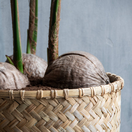 Pottery Pots Zayn XS, Bamboo Ø46 cm