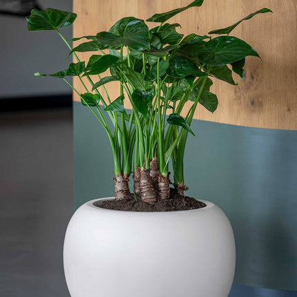 Pottery Pots Stream S, Silk White Ø34 cm