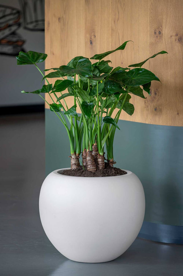 Pottery Pots Stream S, Silk White Ø34 cm