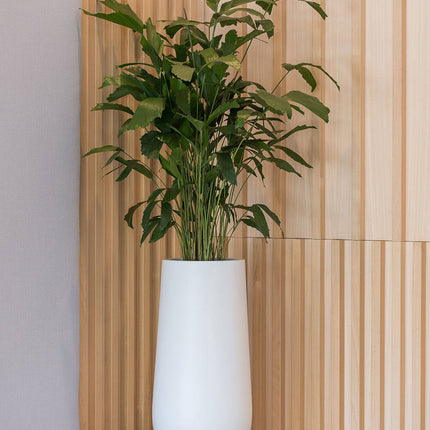 Pottery Pots Nax L, Matte White Ø36 cm