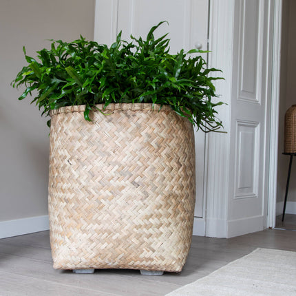 Pottery Pots Zayn L, Bamboo Ø63 cm