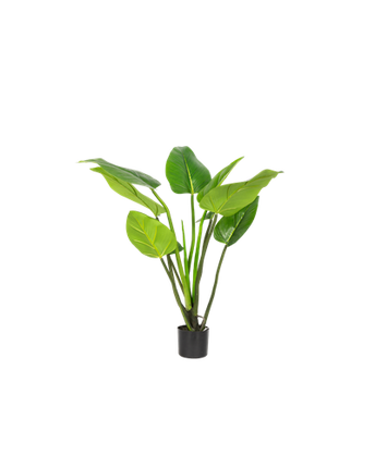 Sztuczna roślina Alocasia 90 cm