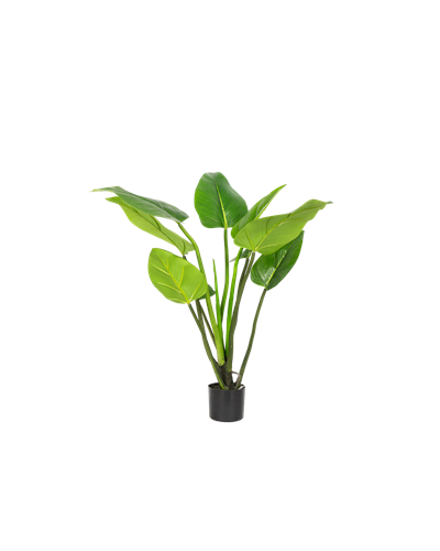 Alocasia kunstplant 90 cm