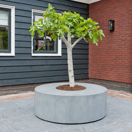 Pottery Pots Jumbo Seating Round, grijs Ø60 cm