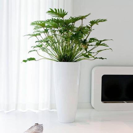 Pottery Pots Dax XL, Glossy White Ø37 cm