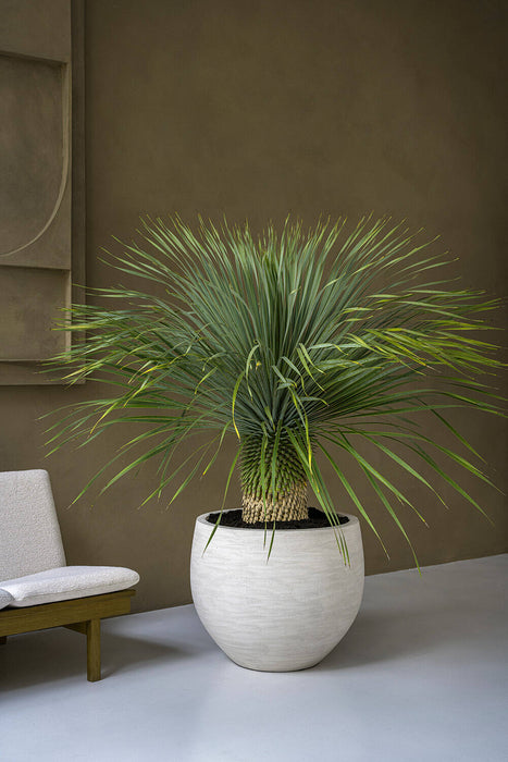 Pottery Pots Jumbo Orb S, Ivory Washed Ø73 cm
