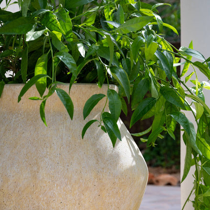 Pottery Pots Fleuri L, Travertine Beige Ø37 cm