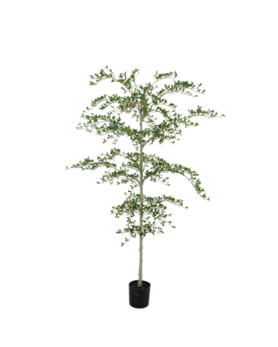 Kunst Zwarte olijfboom 210 cm