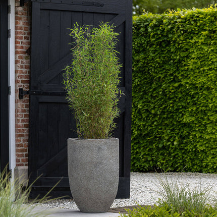 Pottery Pots Mt. Hayes XS, Diorite Grey Ø22 cm