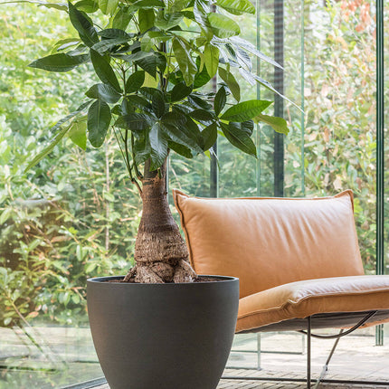 Pottery Pots Jesslyn L, Pine Green Ø67 cm