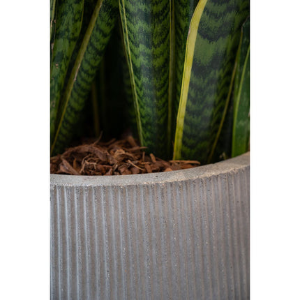 Pottery Pots Pax M, Dark Grey Ø30 cm (verticaal geribbeld)