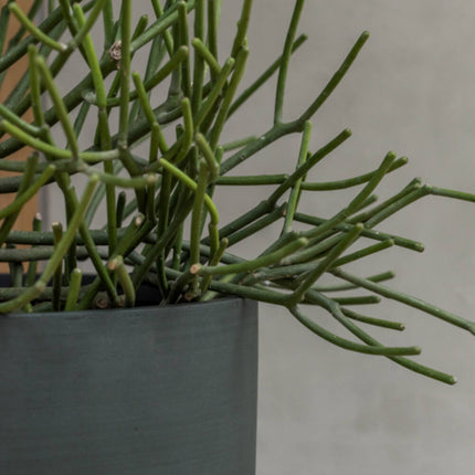 Pottery Pots Dax XL, Pine Green Ø43,5 cm