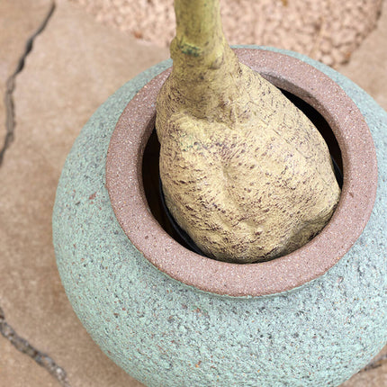 Pottery Pots Zeus S, Rustic Green Ø19,5 cm