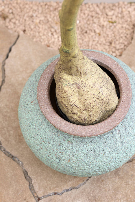 Pottery Pots Zeus S, Rustic Green Ø19,5 cm