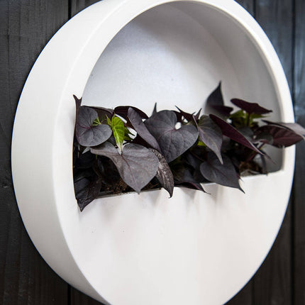 Pottery Pots Wally (hangend) M, Matte White Ø49,4 cm