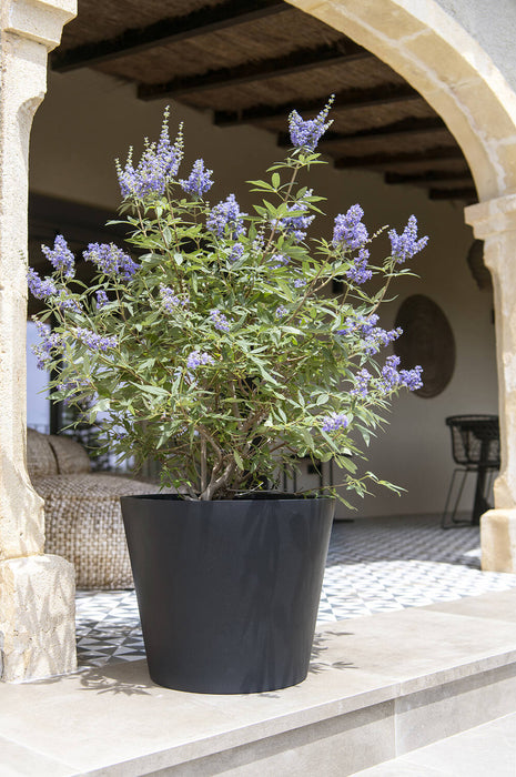 Bucket Black - XS - 40x35 - Pottery Pots | Betonlook Plantenbak