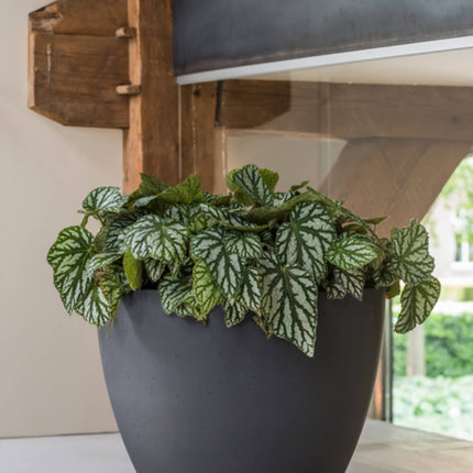 Pottery Pots Jesslyn S, Volcano Black Ø47 cm