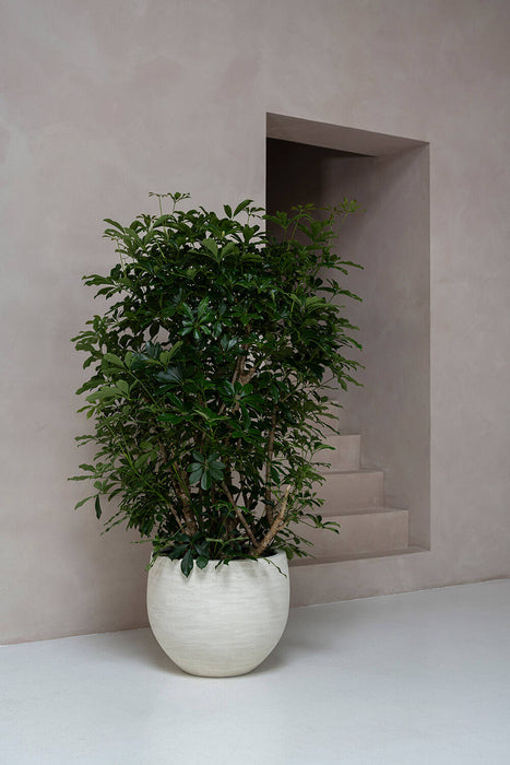 Pottery Pots Jumbo Orb S, Ivory Washed Ø73 cm