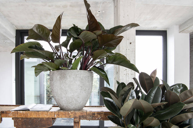 Pottery Pots Jesslyn M, Imperial White Ø57 cm