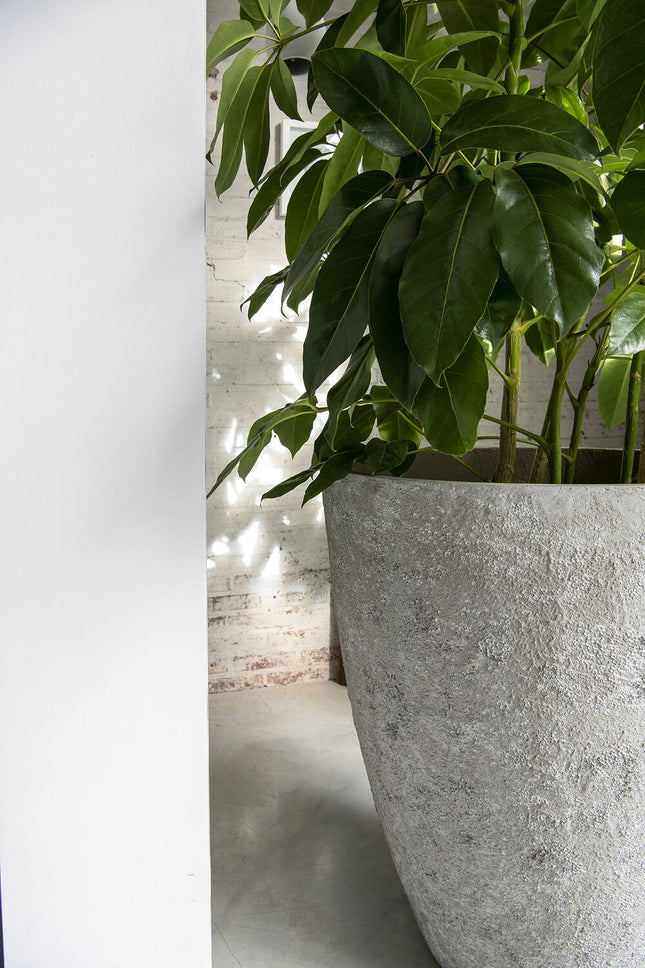 Pottery Pots Bernd L, Imperial White Ø50 cm