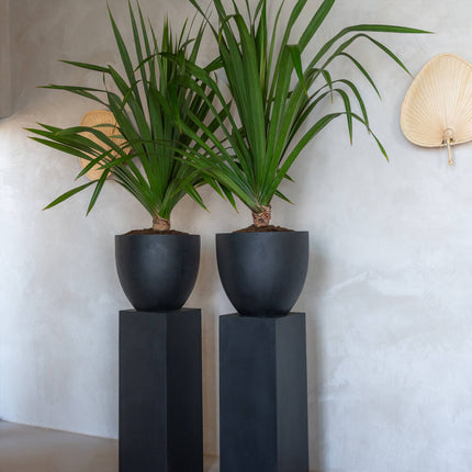 Pottery Pots Jesslyn XS, zwart Ø36 cm