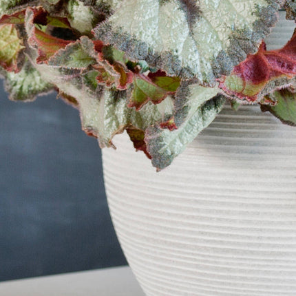 Pottery Pots Abby L, Light Grey Ø37,1 cm (horizontaal geribbeld)