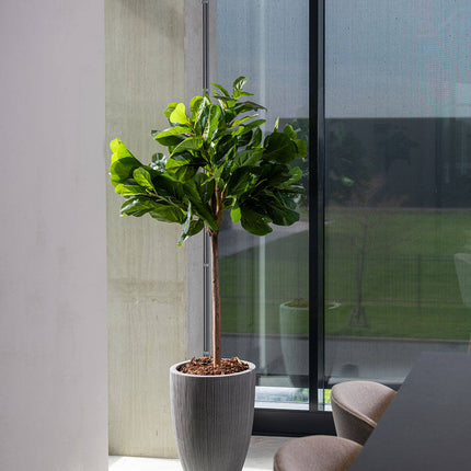 Pottery Pots Ben L, Dark Grey Ø34 cm (verticaal geribbeld)