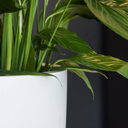 Pottery Pots Ben XL, Matte White Ø42 cm