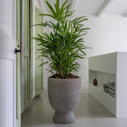 Pottery Pots Jola High L, Diorite Grey Ø45 cm