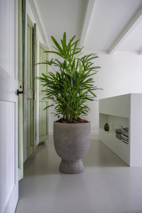 Pottery Pots Jola High L, Diorite Grey Ø45 cm
